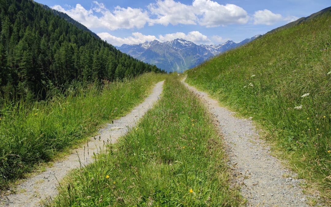 Utflykt i naturen för dig med psykisk ohälsa