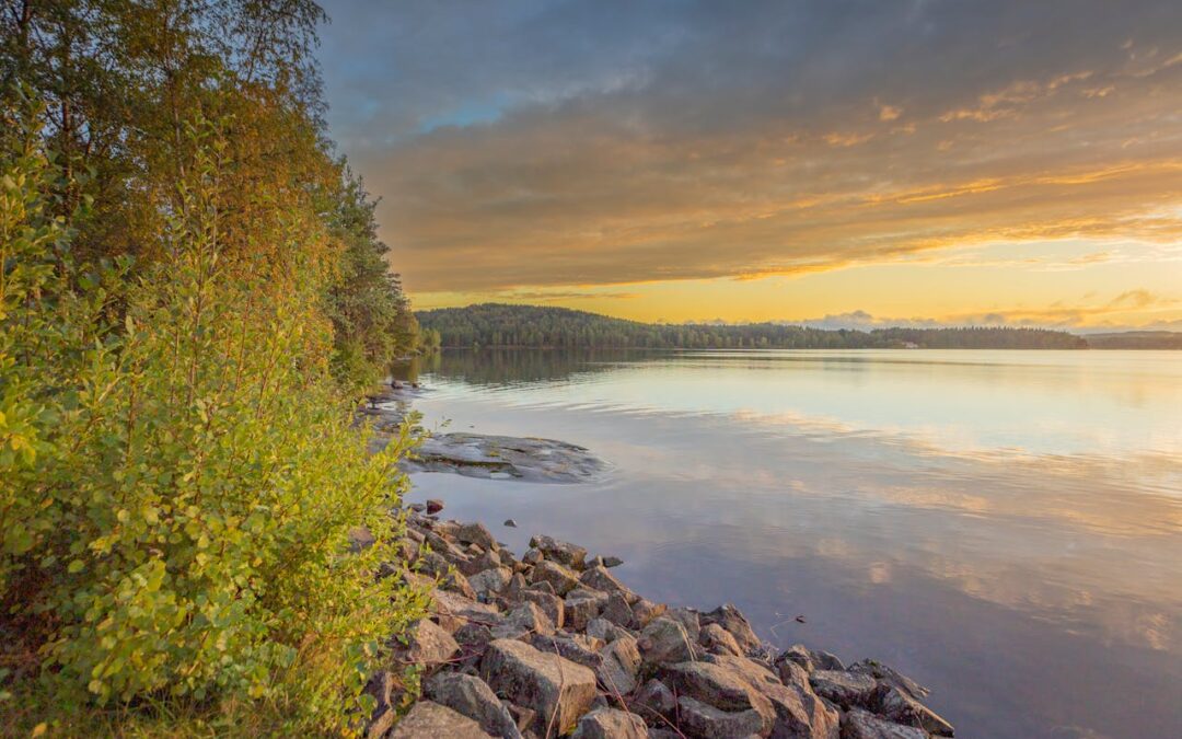 Öregrundsveckan 2026