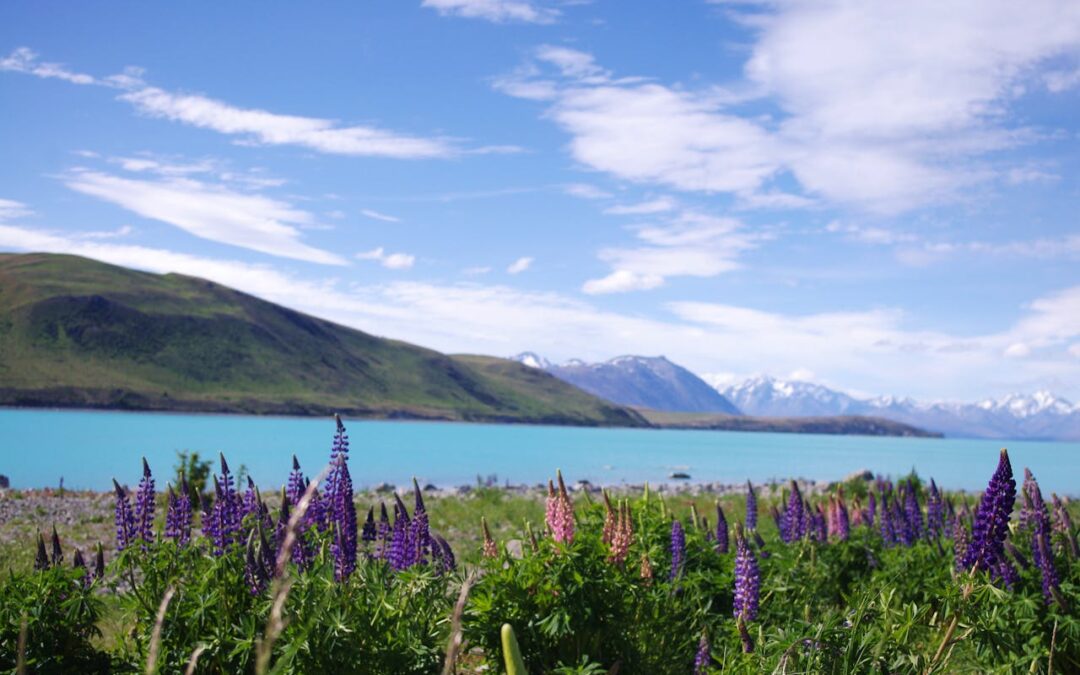 Slåtter vid Arnöhuvud