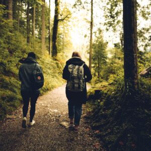 Vandring i skogen
