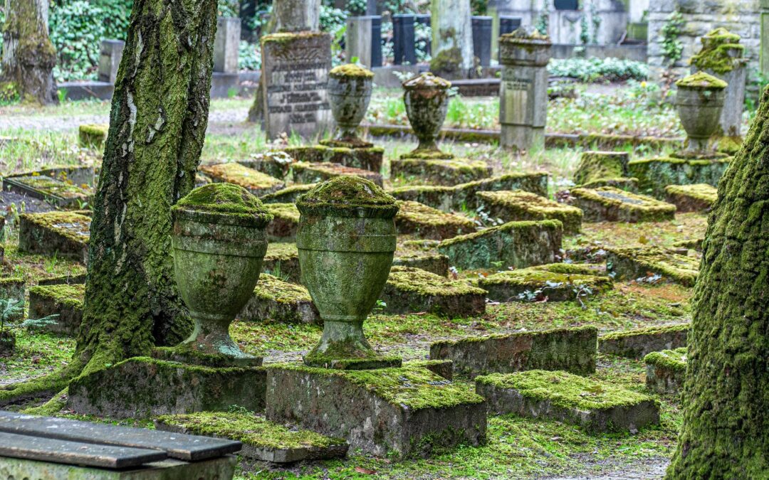 Upptäck Sveriges kyrkogårdar