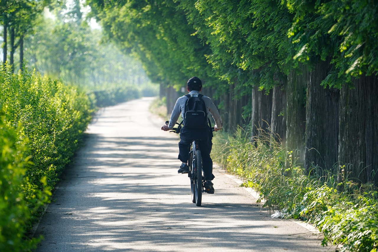 Cykelleden Uppland