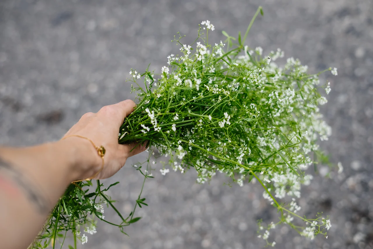 blommor