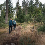 Två kvinnor på vandring i skogen.