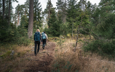 Två kvinnor på vandring i skogen.