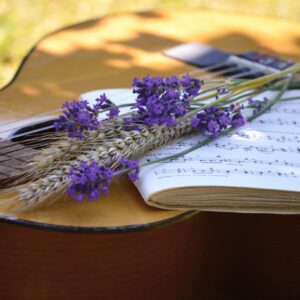 Gitarr med notblad och blommor liggandes ovanpå