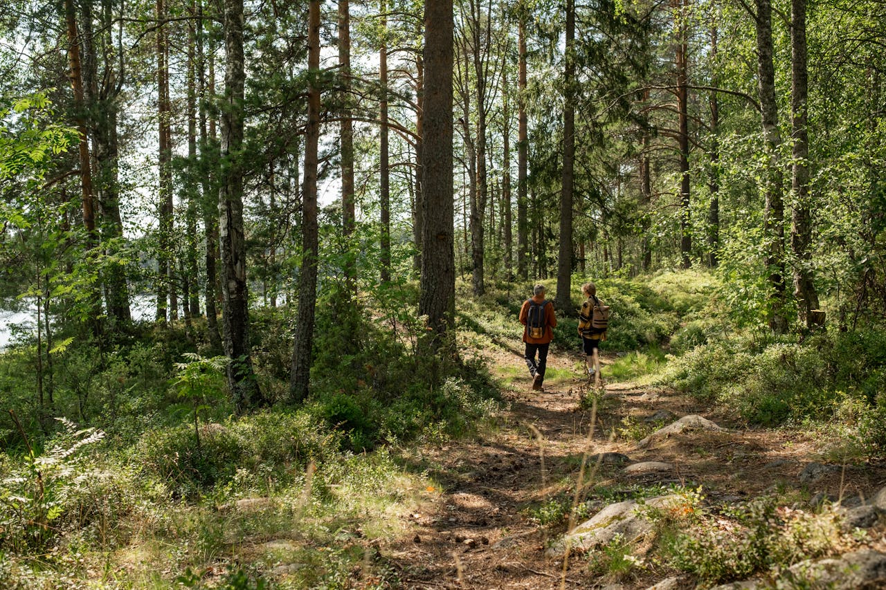 Bild på två personer som vandrar i skogsmiljö.