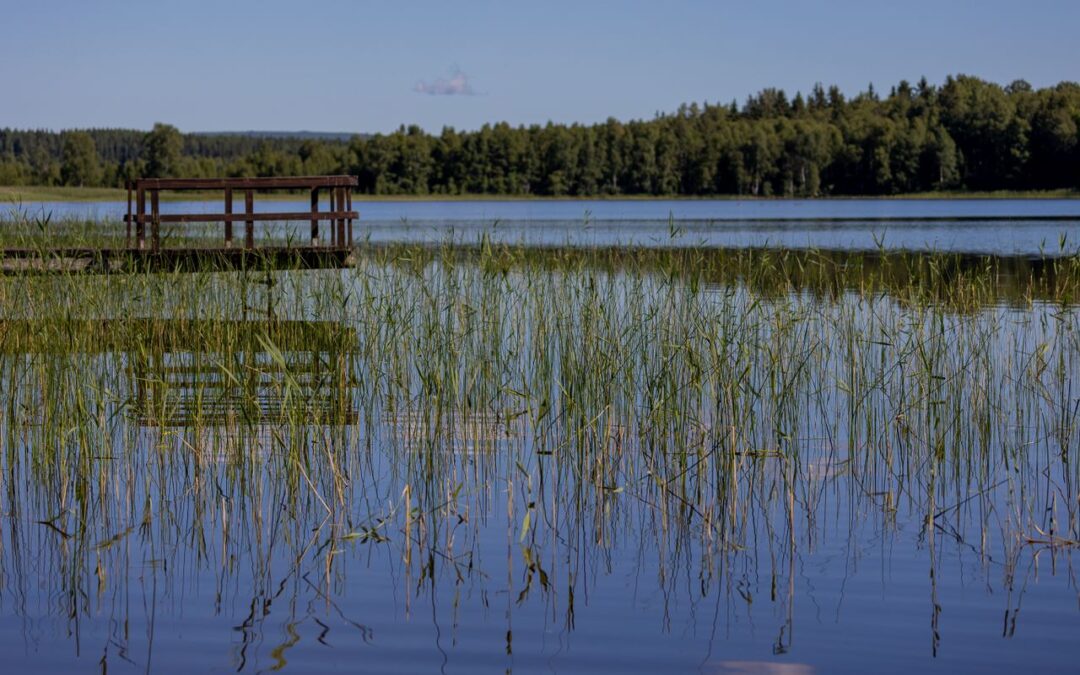 Gräsö Konstrunda