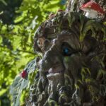 Bild på ett träd-troll ute i skogen. På trollet finns en liten flugsvamp.