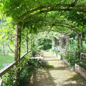 pergola