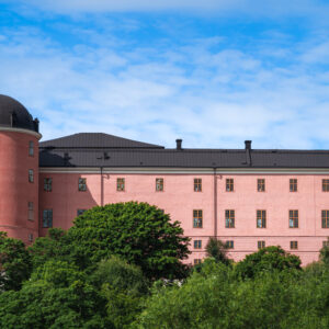 Bild av slottet i Uppsala på sommaren.