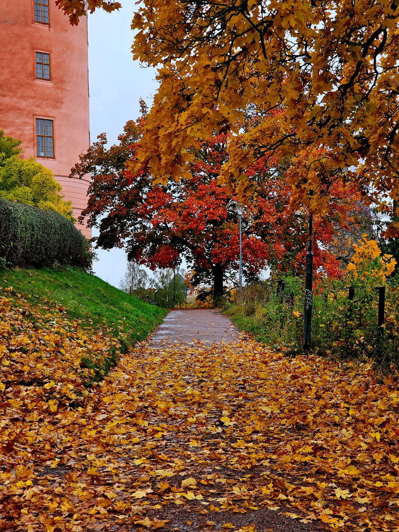 Uppsala slott, med lite höstlöv i förgrunden.