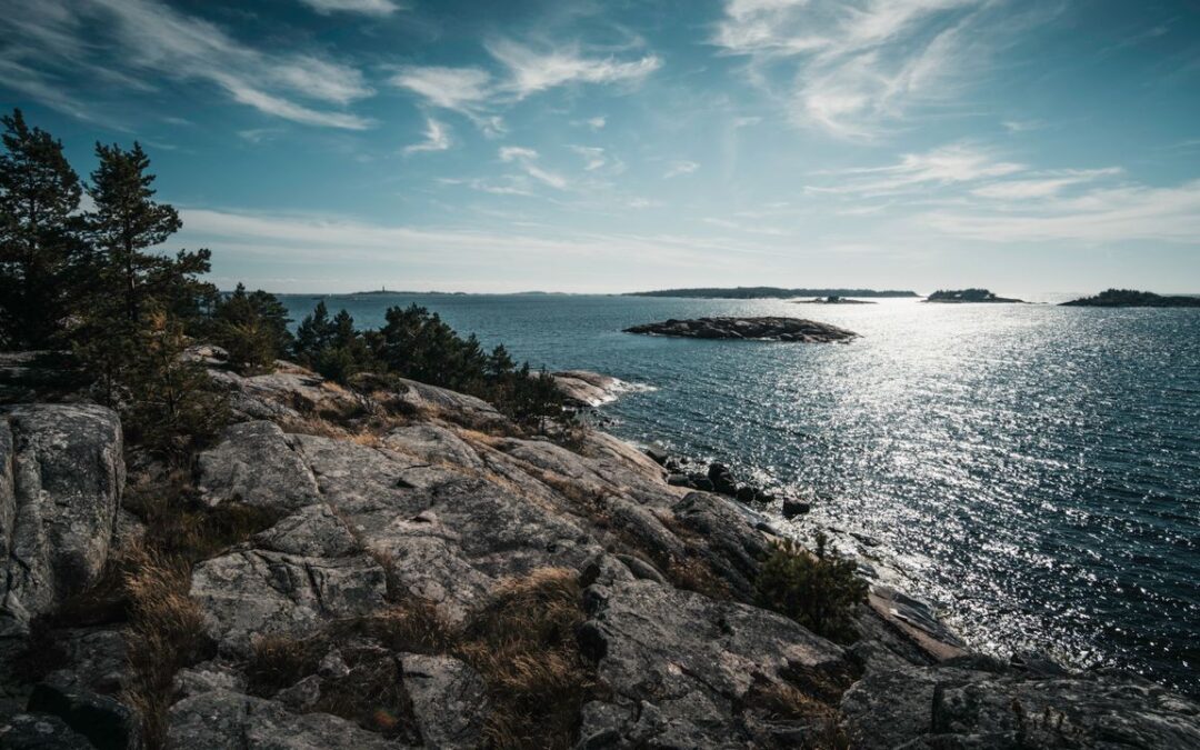 Skogsglänta. Musik & Performance på Värlingsö