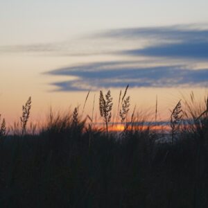 Solnedgång i naturen.