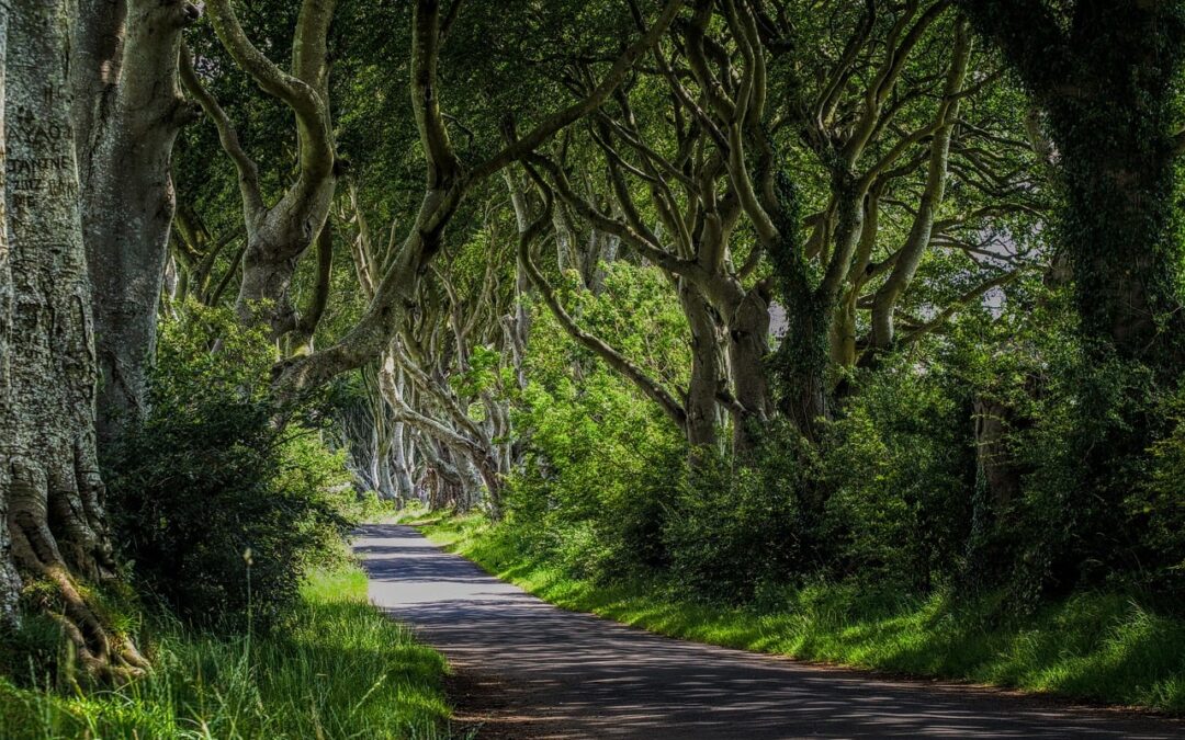 Pilgrimsvandring – vandring i sommartid