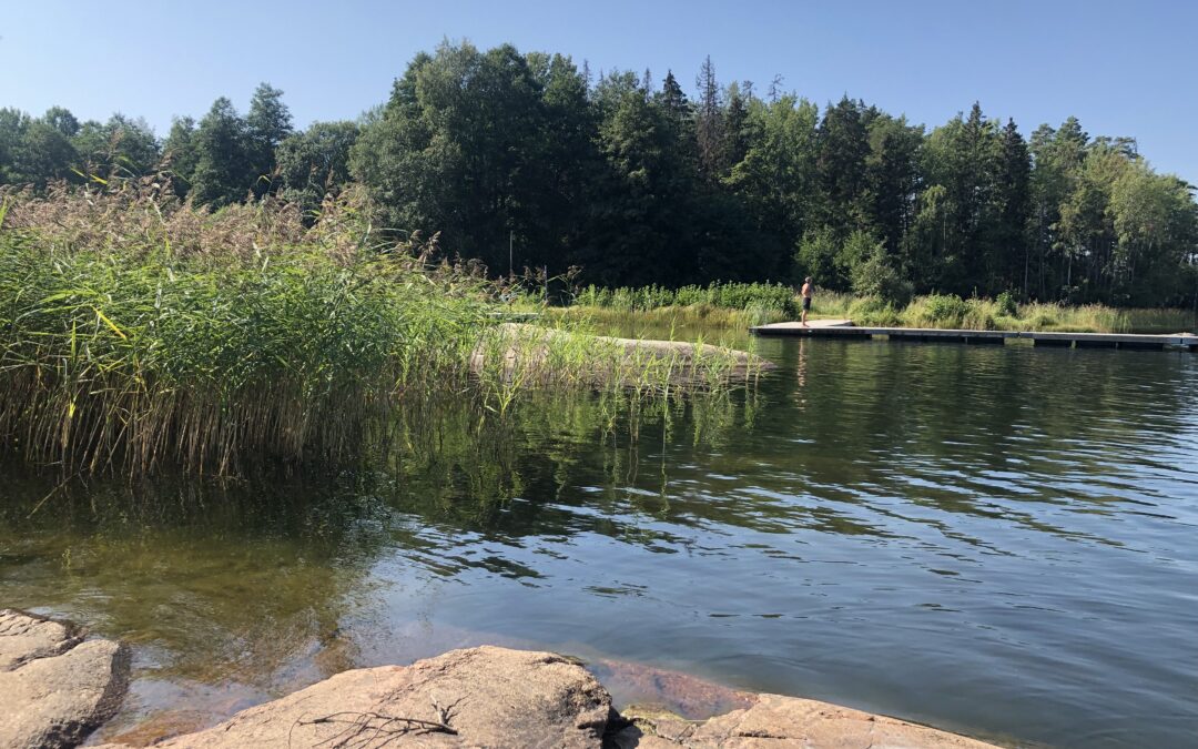 Hydrologiska nyåret i Pumphuset