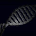 Konstnärlig tolkning av DNA-stege.
