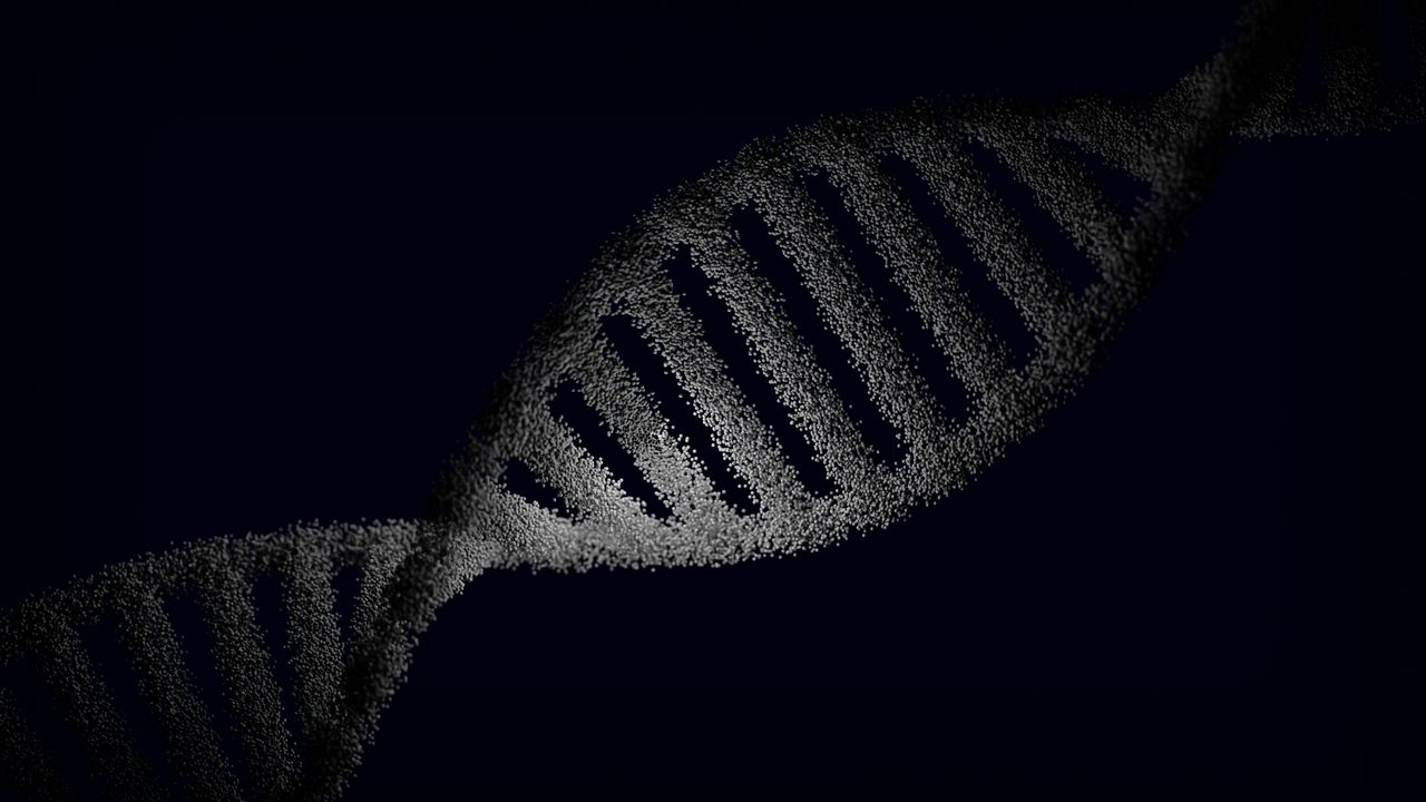 Konstnärlig tolkning av DNA-stege.