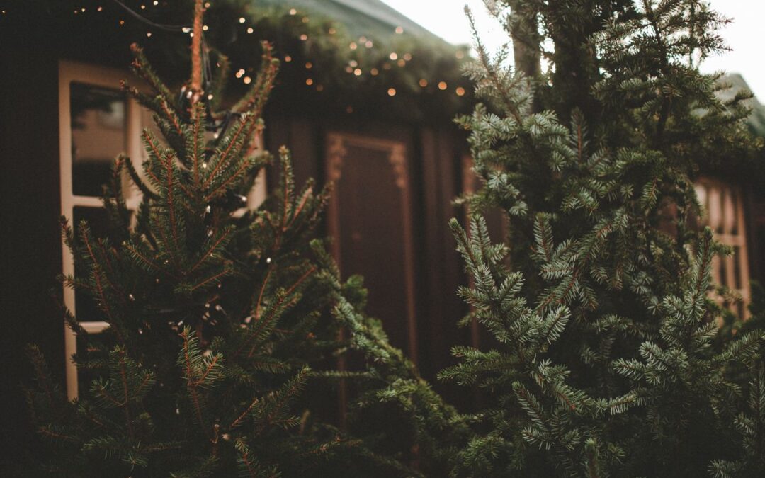 Julmarknad i Ulleråker 2026