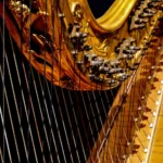 Vacker harpa