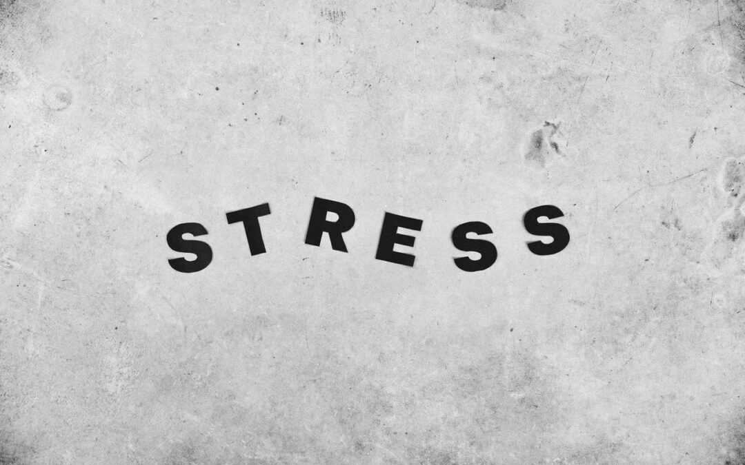 Unplugged – workshop i stresshantering